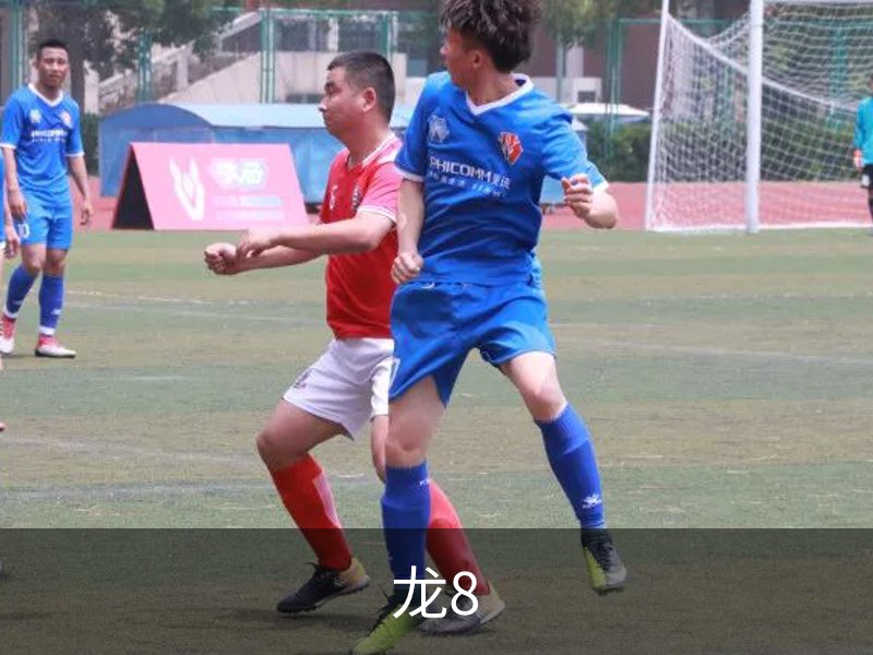 龙8介绍